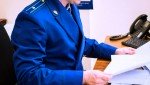 Прокуратура направила в суд уголовное дело о мошенничестве  при получении материнского капитала